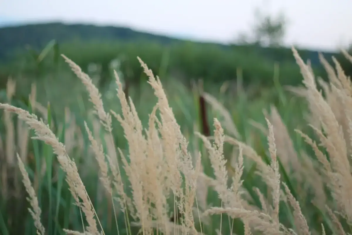 Students engaging in a discussion on the IUDI campus grounds, highlighting the collaborative learning environment