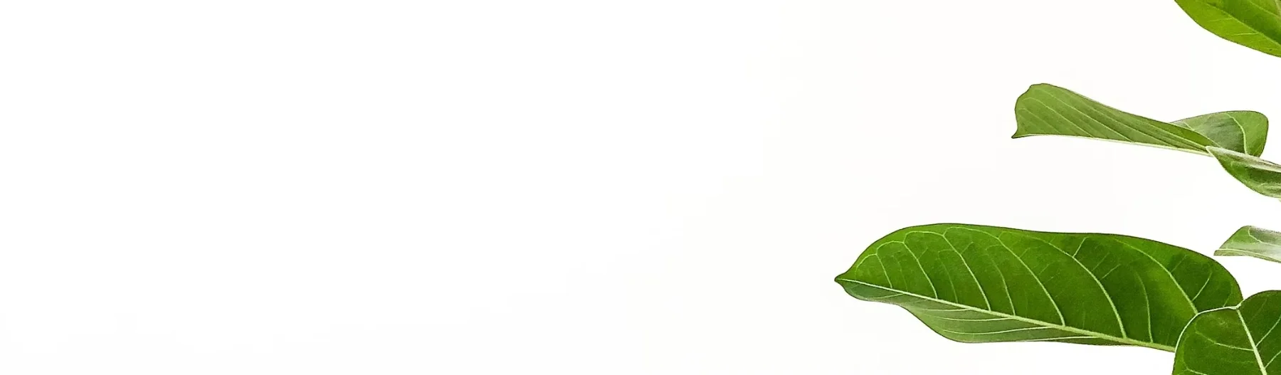 Call to action background - a bright scene