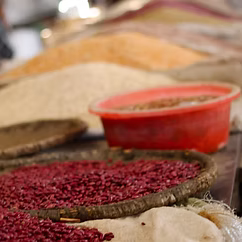 Community members working together on a project