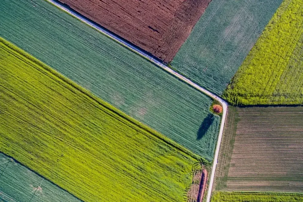 Student engaged in online learning on a laptop, symbolizing IUDI's flexible, self-paced educational model