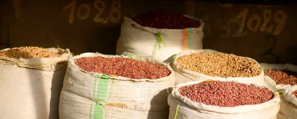 Graphique illustrant des pièces de monnaie et un calcul financier pour symboliser la transparence des frais à l'IUDI