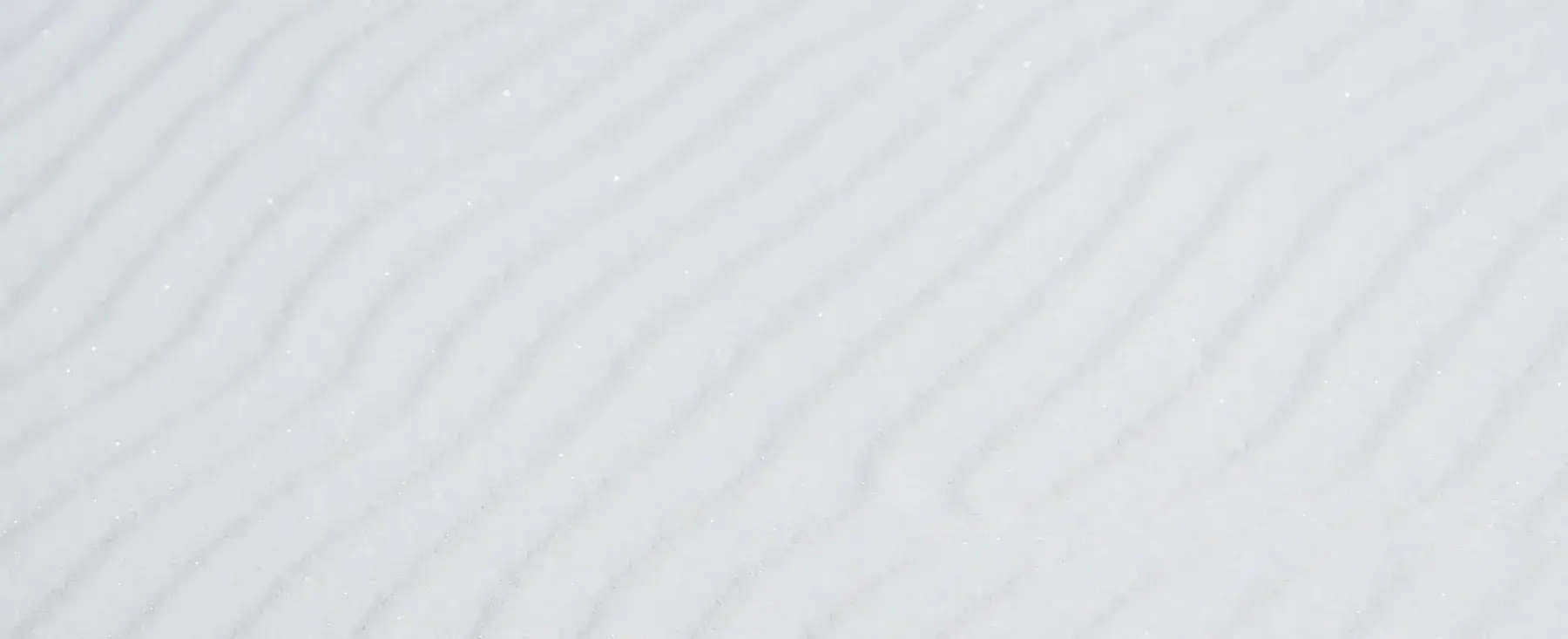 Background showing diverse students or academic environment